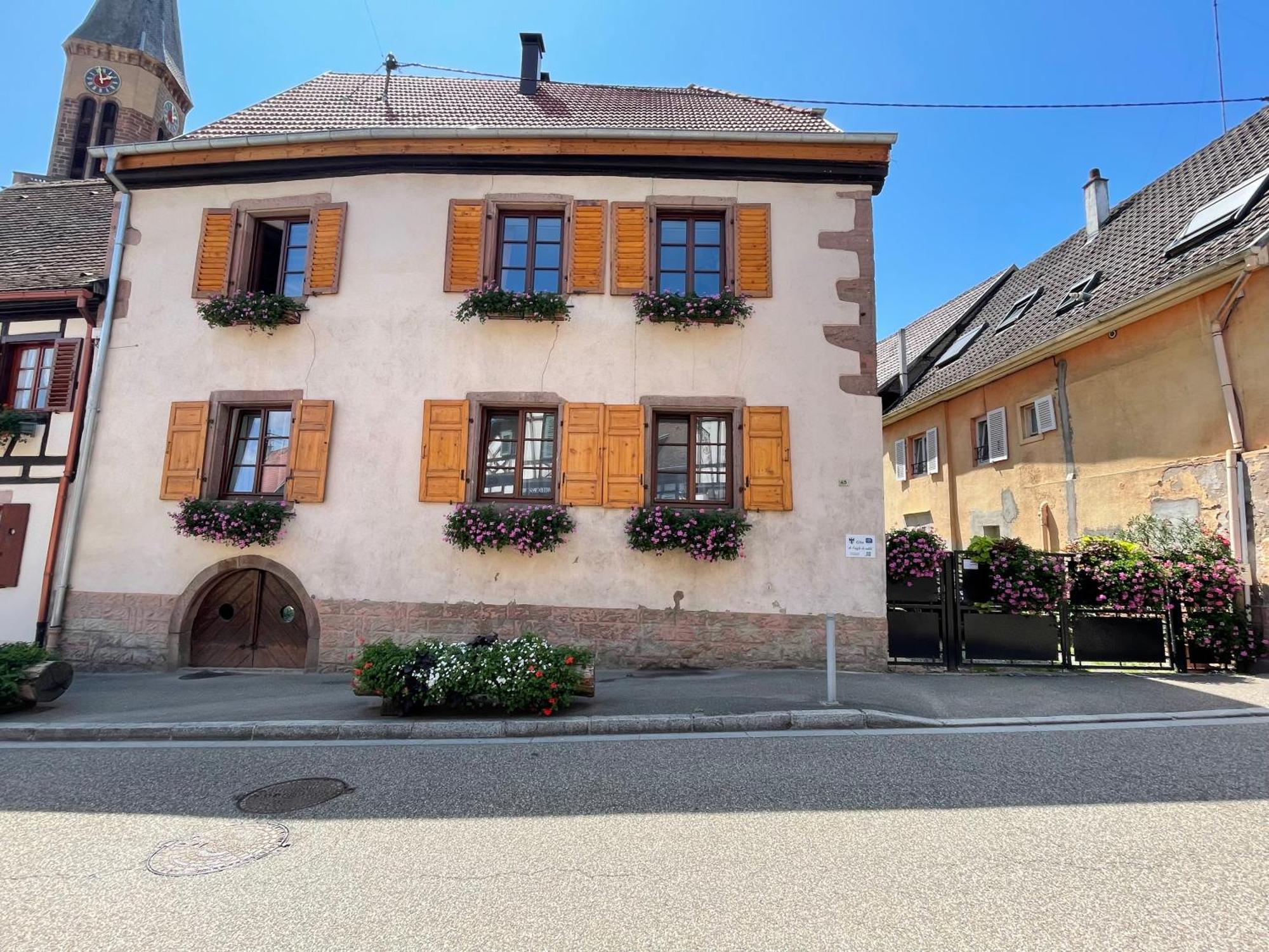 Gite A L'Aigle De Sable Kintzheim Buitenkant foto